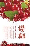 樱桃