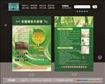 安然纳米 宣传单