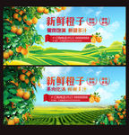 新鲜橙子