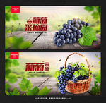 葡萄