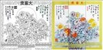 牡丹