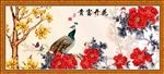 孔雀大图