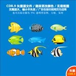 手绘卡通动物鱼金鱼图标