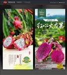 火龙果