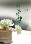 意境封面
