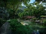 竹林深处小农家景观效果图