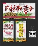 铁皮石斛
