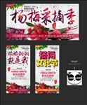 杨梅