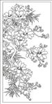 玉兰花