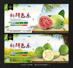 芭乐
