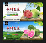 芭乐