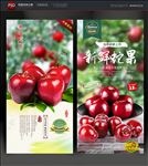 蛇果 苹果