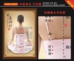 中医穴位图