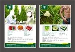 黄秋葵宣传单张