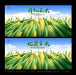 玉米