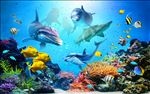 3D唯美海底世界海豚热带鱼珊瑚