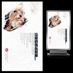 让宠物快乐起来宠物文化海报设计