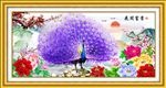 花开富贵 紫色孔雀