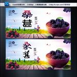 桑葚