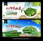 黄秋葵