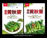 黄秋葵