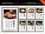 名贵中药 中药功效