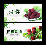 杨梅
