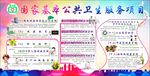国家基本公共卫生服务
