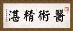 医术精湛 书法 字画 毛笔字