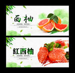西柚