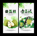 释迦 番荔枝