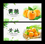 黄桃