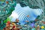 3d背景墙海豚