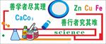 生物实验室文化墙