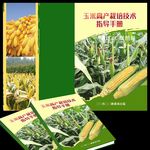 玉米栽培技术指导