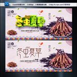 冬虫夏草