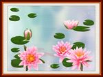 荷花装饰画