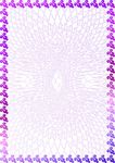 紫芬兰 网络证书纹