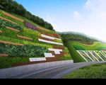 山体绿植设计