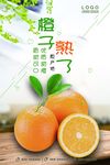 原产地橙子宣传海报