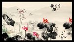 荷花九鱼图