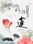 莲花