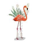 仙鹤天鹅植物花园绿叶请柬插图