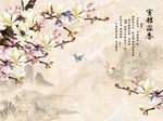 室雅兰香玉兰花
