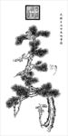 寿松