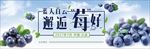 蓝莓节