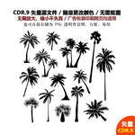 手绘椰子树椰果设计矢量图