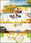 小米粮食有机大米粮食海报