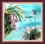 兰花