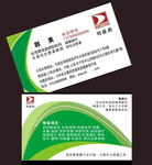 绿色简约名片